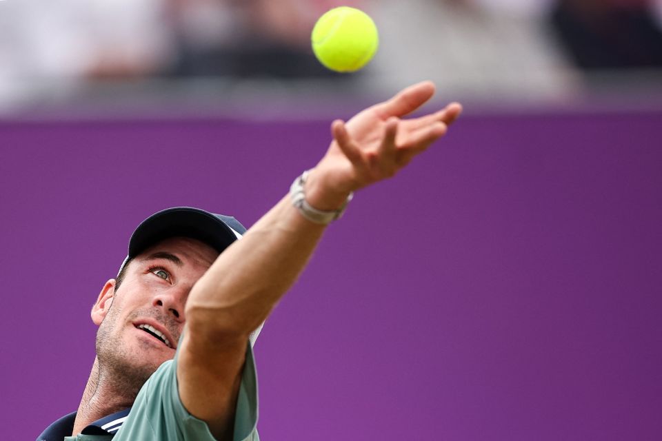 樊振东在开 樊振东在开